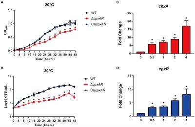 The CpxA/CpxR two-component system mediates regulation of Actinobacillus pleuropneumoniae cold growth